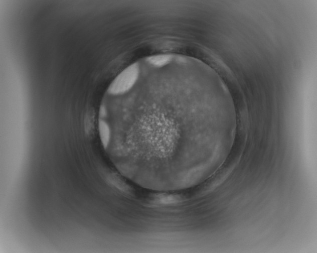 X0000112950073200909141416