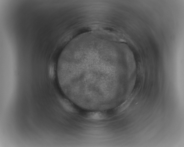 X0000112950074200909141416