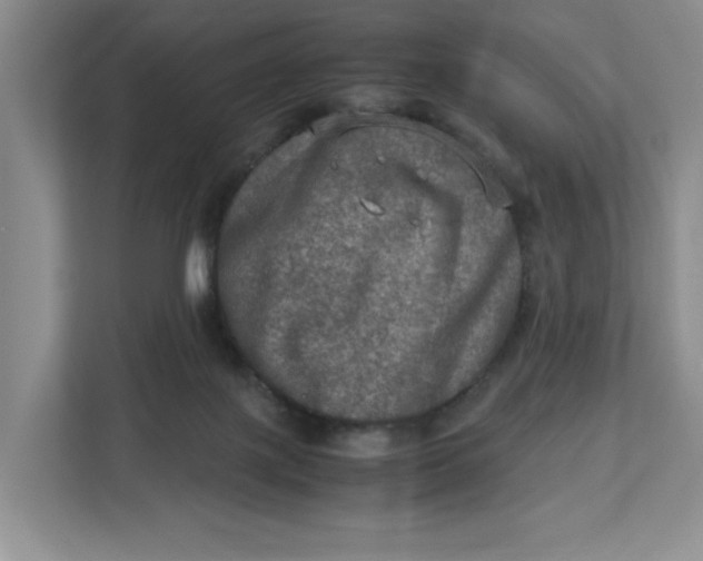 X0000112950075200909141416