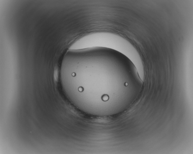 X0000112950076200909141416