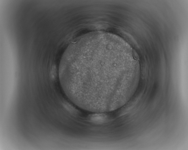 X0000112950077200909141416