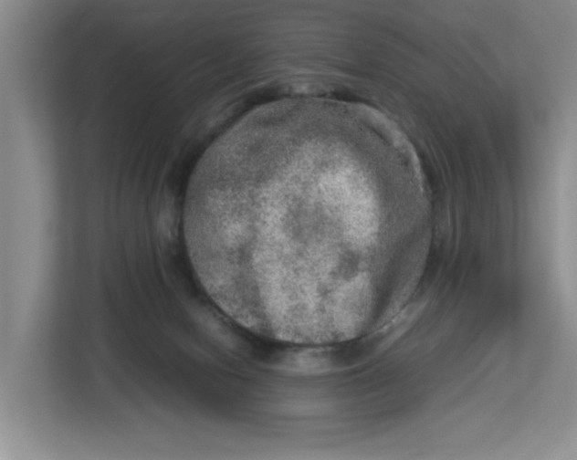 X0000112950078200909141416