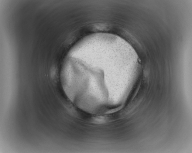 X0000112950079200909141416