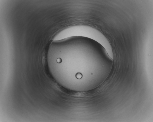 X0000112950080200909141416