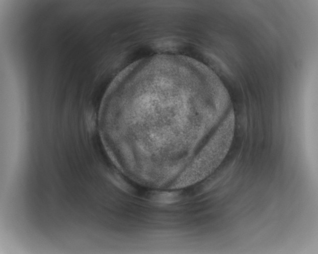 X0000112950081200909141416