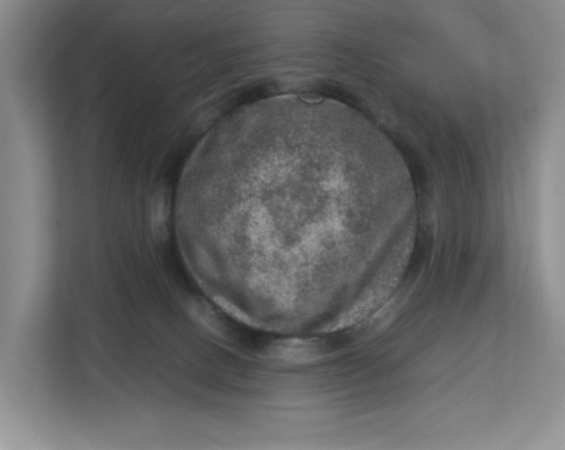 X0000112950082200909141416