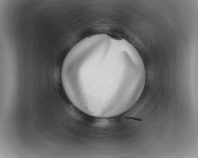 X0000112950083200909141416