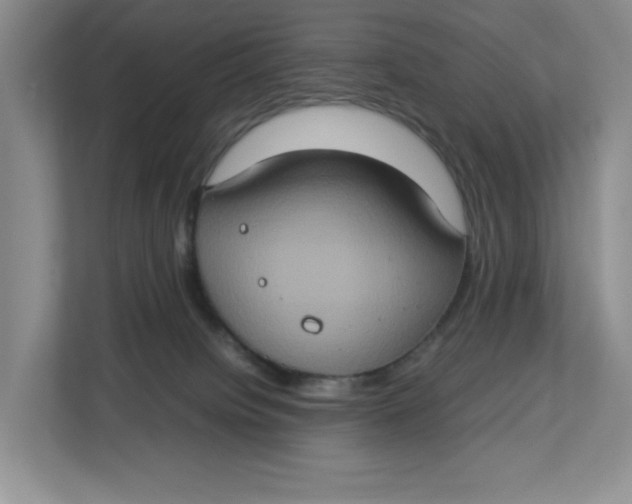 X0000112950084200909141416