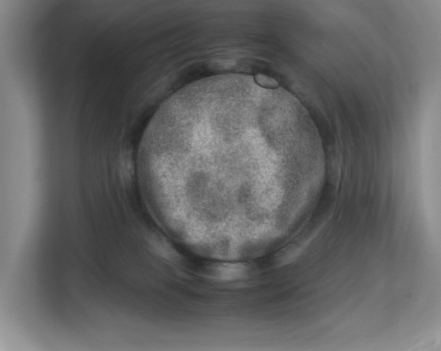 X0000112950085200909141416