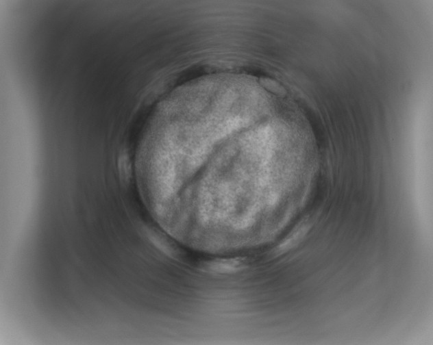 X0000112950086200909141416