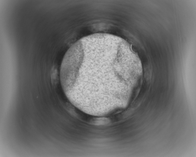 X0000112950087200909141416