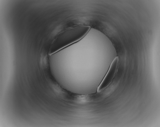 X0000112950088200909141416