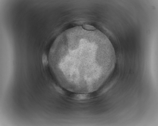 X0000112950089200909141416