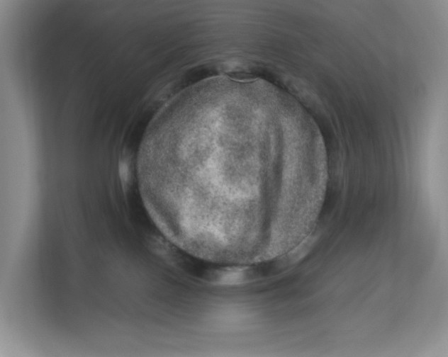 X0000112950090200909141416