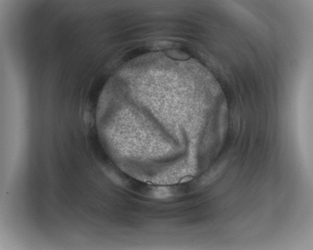 X0000112950091200909141416