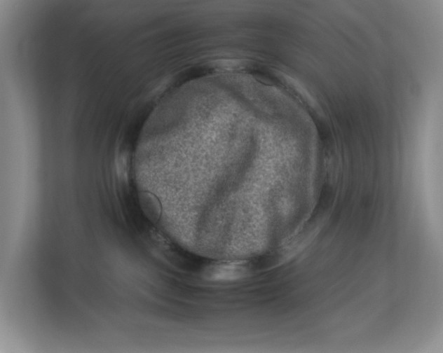 X0000112950093200909141416