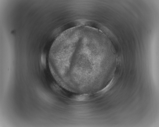 X0000112950094200909141416