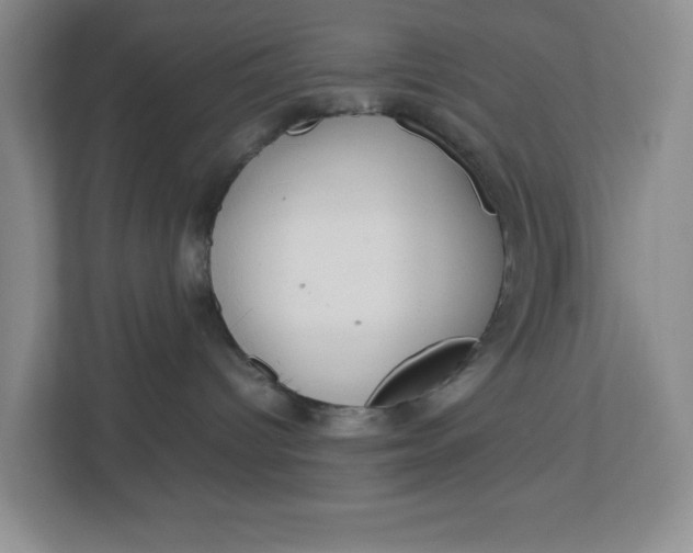 X0000112950096200909141416