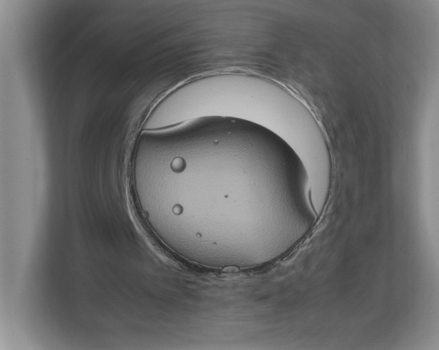 X0000112950097200909141416