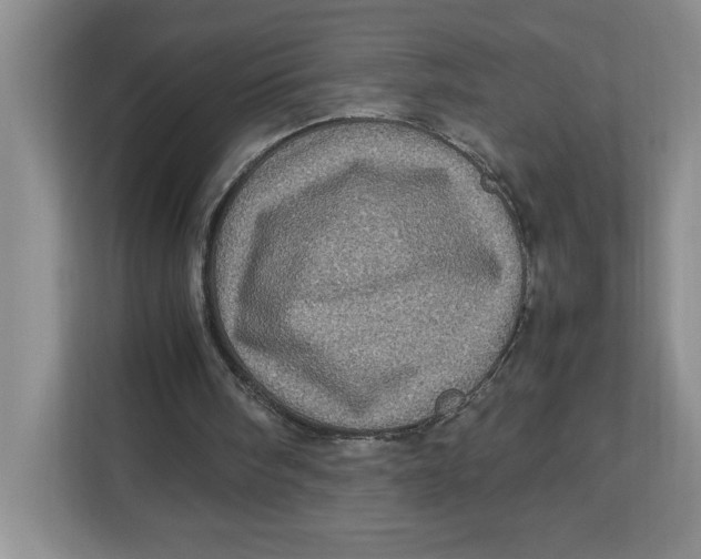 X0000112950098200909141416