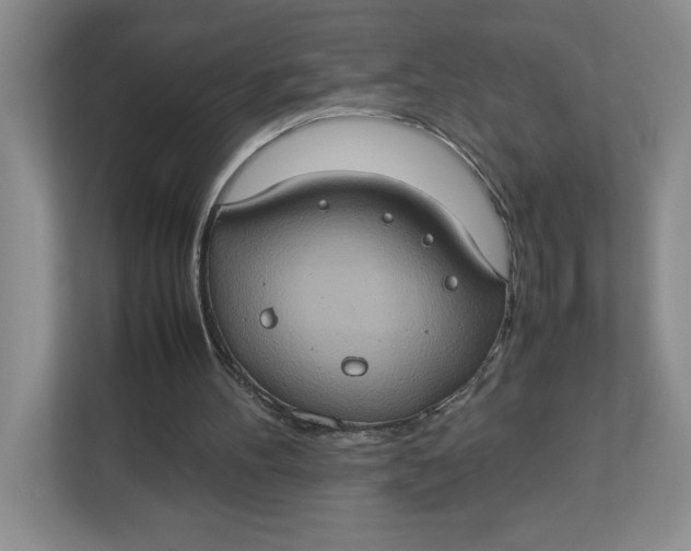 X0000112950100200909141416