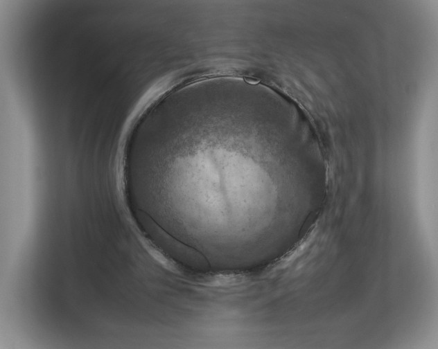 X0000112950101200909141416