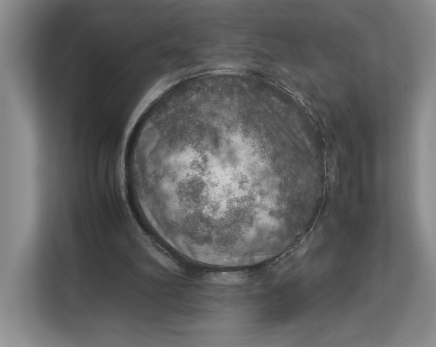 X0000112950102200909141416