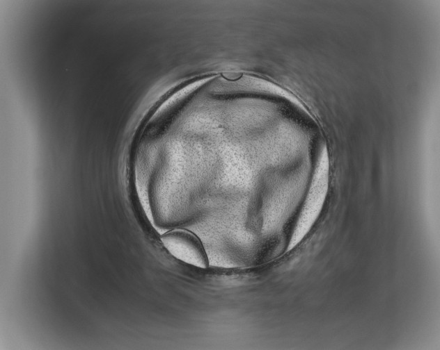 X0000112950103200909141416