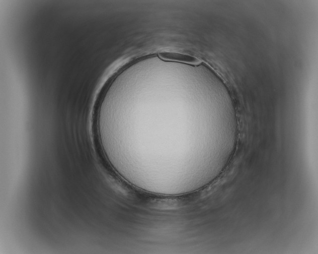 X0000112950104200909141416