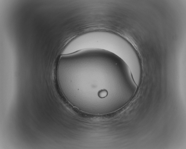 X0000112950105200909141416