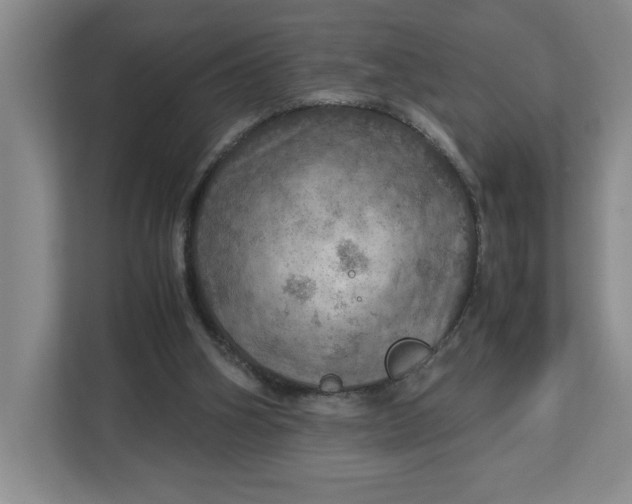 X0000112950106200909141416