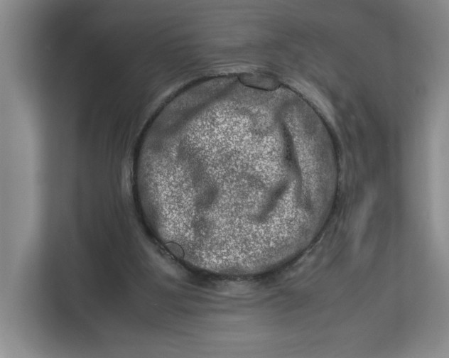 X0000112950107200909141416