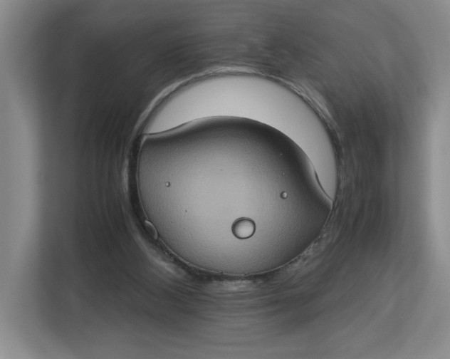 X0000112950108200909141416