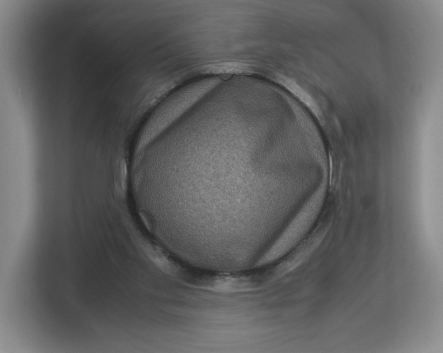 X0000112950109200909141416