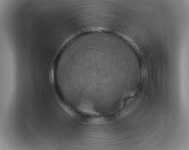 X0000112950110200909141416