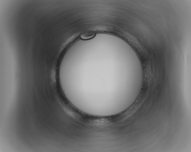 X0000112950112200909141416