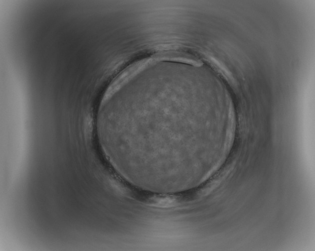 X0000112950113200909141416