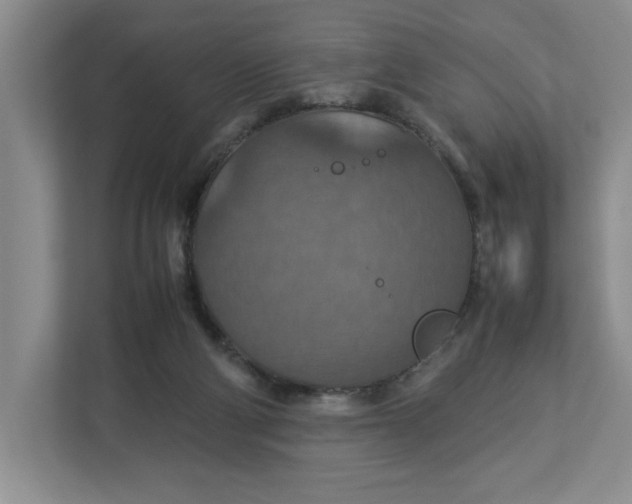 X0000112950114200909141415