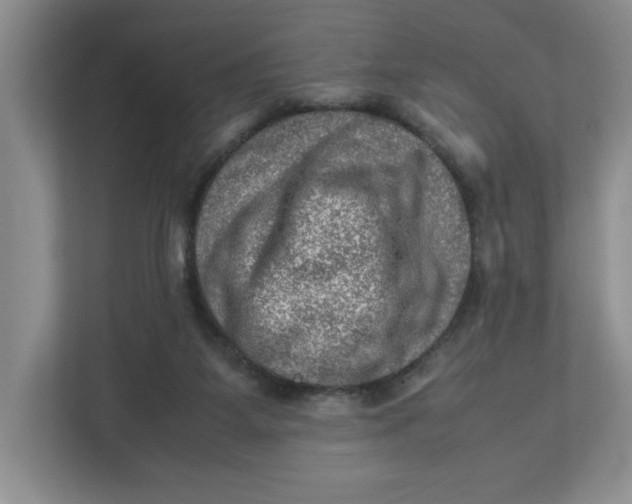 X0000112950115200909141415