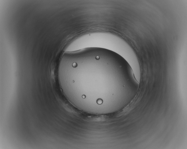 X0000112950116200909141415