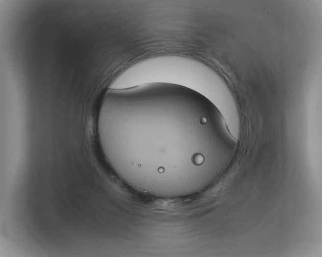 X0000112950117200909141415