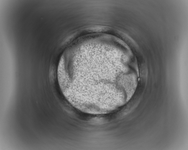 X0000112950119200909141415