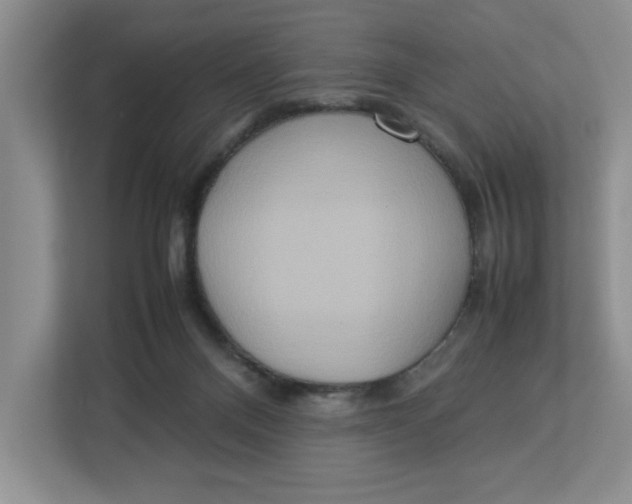 X0000112950120200909141415