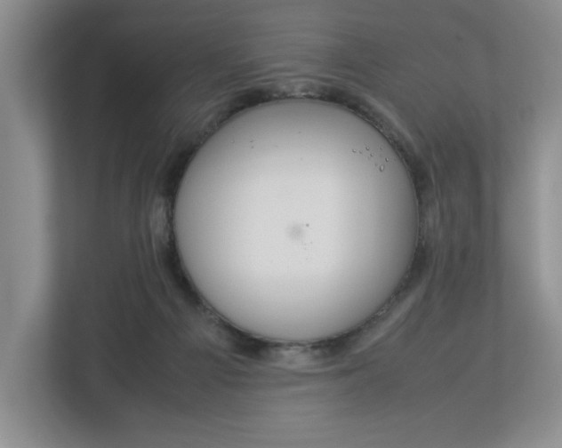 X0000112950121200909141415