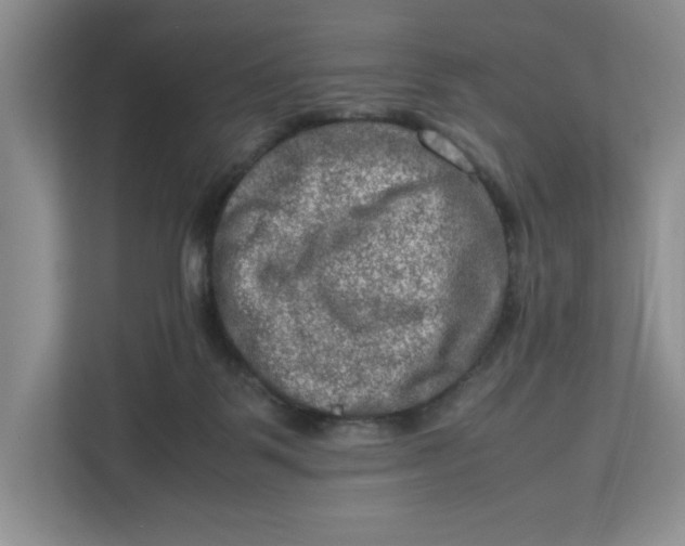 X0000112950123200909141415