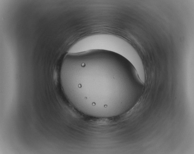 X0000112950124200909141415