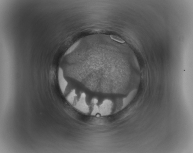 X0000112950127200909141415