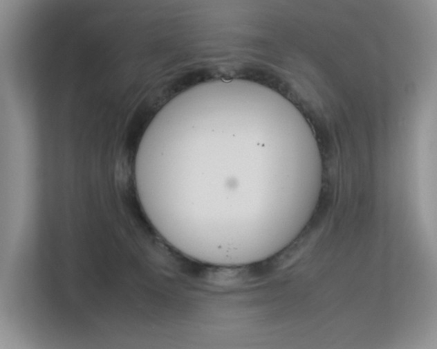 X0000112950129200909141415