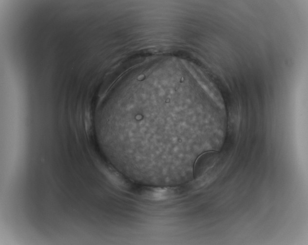 X0000112950130200909141415