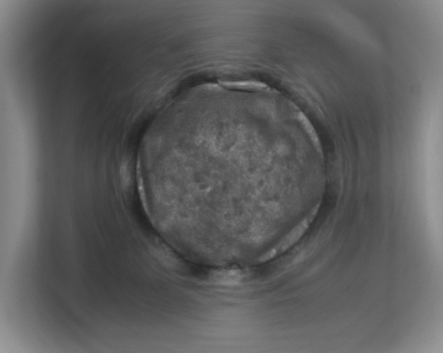 X0000112950131200909141415